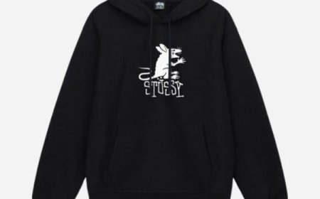 Official Stussy Hoods Fit Ideas