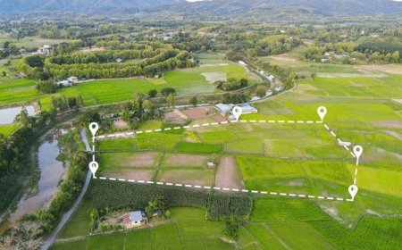 Is Fredericksburg Quietly Becoming Texas’s Premier Ranch Market?