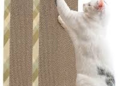 Keep Your Cat Happy and Your Home Scratch-Free with a Cat Scratching Mat