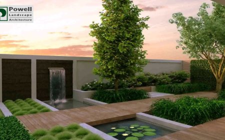 Is Modern Landscape Design Worth the Investment in Austin Homes?