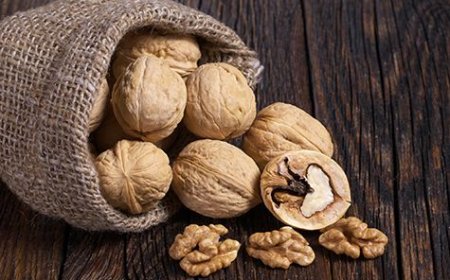 Top Walnuts Brands & Suppliers in India – Shop Now!