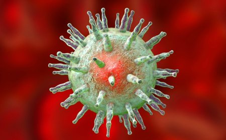 Epstein-Barr Virus (EBV) Market Size, Trends, and Forecast Analysis 2025-2032