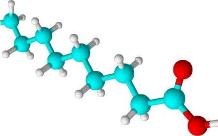 Global Pelargonic Acid Market Size, Trends, and Growth Forecast 2025-2032