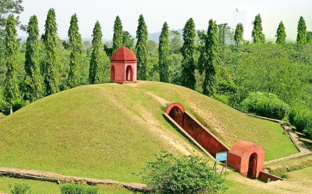 Find Out How Many World Heritage Sites in Assam Exist