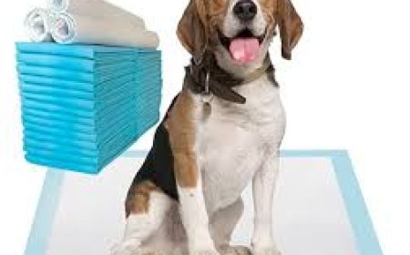 Pet Pad Market Size, Trends, and Strategic Insights 2025–2032