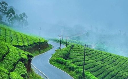Tea Gardens, Misty Hills & More: Discover the Natural Wonders of Munnar