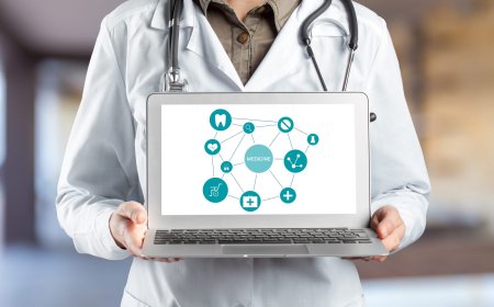 Patient Engagement Software Market: Size, Trends, and Strategic Outlook 2025-2032