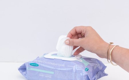 Baby Wipes Market: Size, Trends, and Strategic Outlook 2025-2032