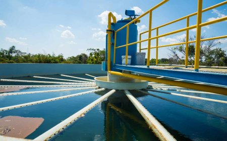 Sewage Treatment: Innovations and Solutions for Sustainable Urban Water Management