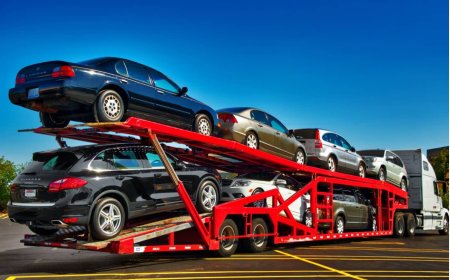 5 Signs You’ve Found a Reliable and Affordable Auto Transport Company in the USA