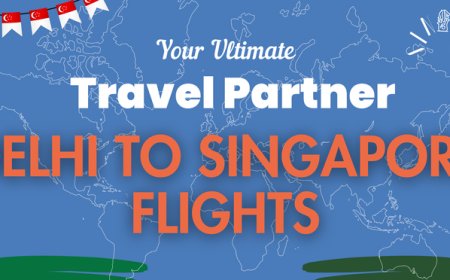 Delhi to Singapore flight