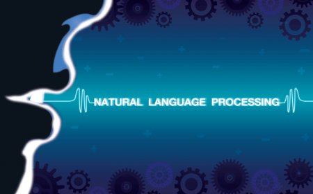 Natural Language Processing Market Size, Growth, and Strategic Outlook 2025-2032