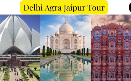 Delhi Agra Jaipur Tour: Iconic India's Heritage Circuit
