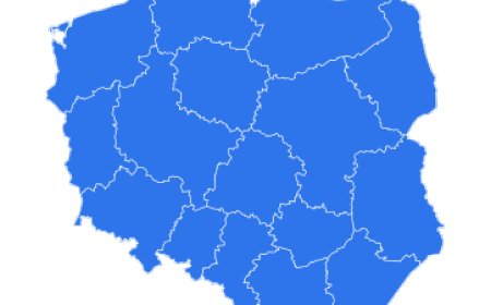 Poland Import Data: Top Commodities and Suppliers Revealed