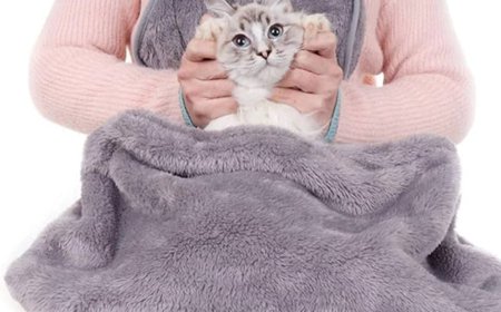 The Cat Carrier Apron: The Game-Changer Every Cat Owner Needs