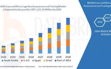 Middle East and Africa Cognitive Assessment and Training Market Sees Growth with Emphasis on Mental Health and Educational Innovation