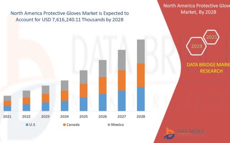 North America Protective Gloves Market Expands with Heightened Focus on Workplace Safety and Hygiene