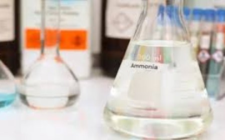 Ammonia Market Size, Trends, and Growth Strategies: A 2025-2032 Outlook