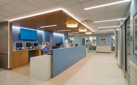 Outpatient Clinics Market Size, Trends, and Growth Strategies (2025-2032)