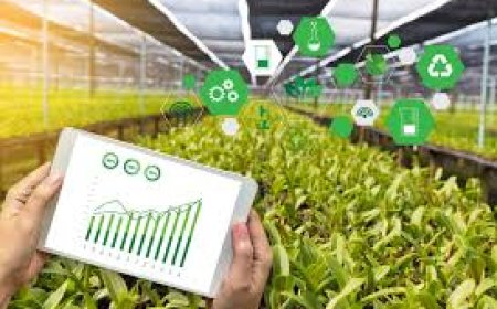 Digital Agriculture Market Size, Trends, and Growth Forecast 2025-2032