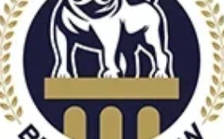 Why You Need a Criminal Defense Lawyer Who Fights Like a Bulldog