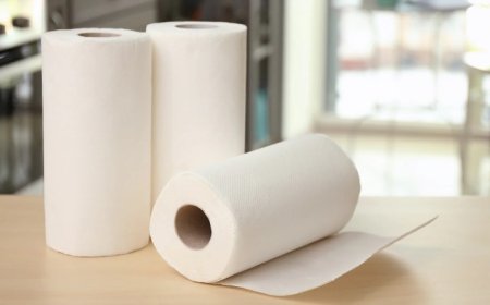 Discover the Best Paper Towel Rolls Before They’re Gone
