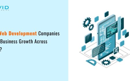 How Web Development Companies Drive Business Growth Across Texas?