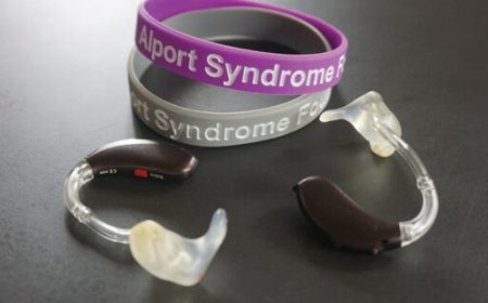 Alport Syndrome Market Size, Trends, and Growth Outlook 2025-2032