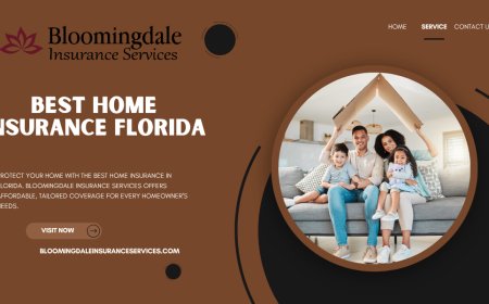 Best Home Insurance Florida by Bloomingdale Insurance Services