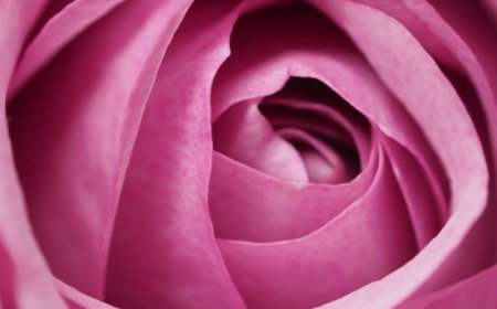 Awaken Your Inner Bloom with Osho Mystic Rose at Astitva Well Being