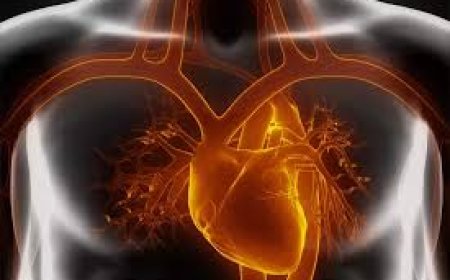 Global Cardiac Amyloidosis Market Size, Trends, and Growth Analysis 2025-2032