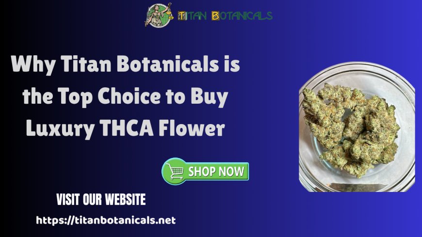 Why Titan Botanicals is the Top Choice to Buy Luxury THCA Flower