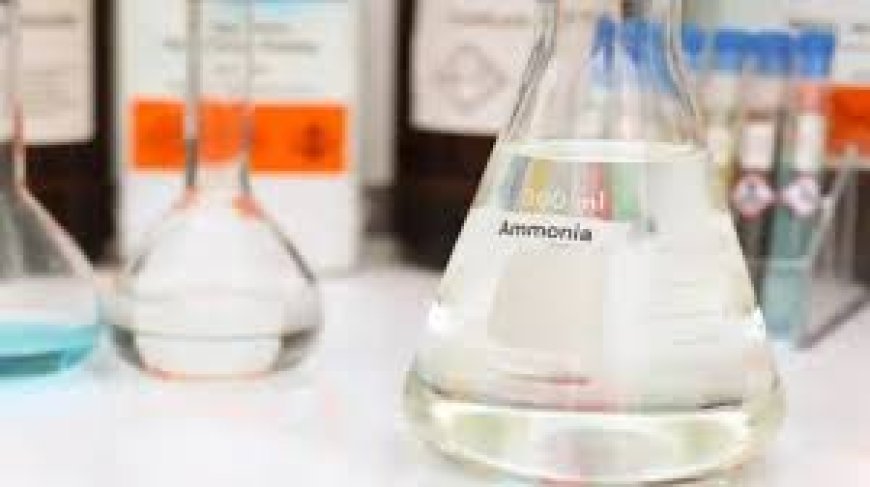 Ammonia Market Size, Trends, and Growth Strategies: A 2025-2032 Outlook