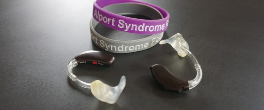 Alport Syndrome Market Size, Trends, and Growth Outlook 2025-2032